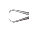 Adair Breast Tenaculum Forcep