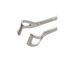Babcock Tissue Forcep