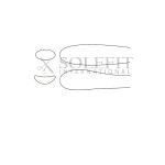Walsham Septum Straightening Forcep 23cm Left