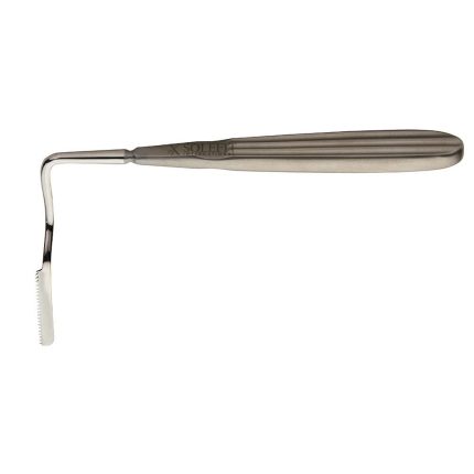 Joseph Nasal Saw Angled to Right
