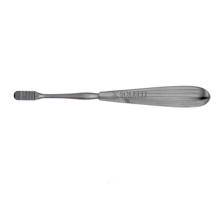 Lewis Nasal Rasp 20cm