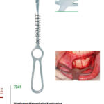 Combination of wound and cheek retractor