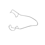 Wire Lid Speculum Flared Rounded Closed Wire Blade Temporal Approach